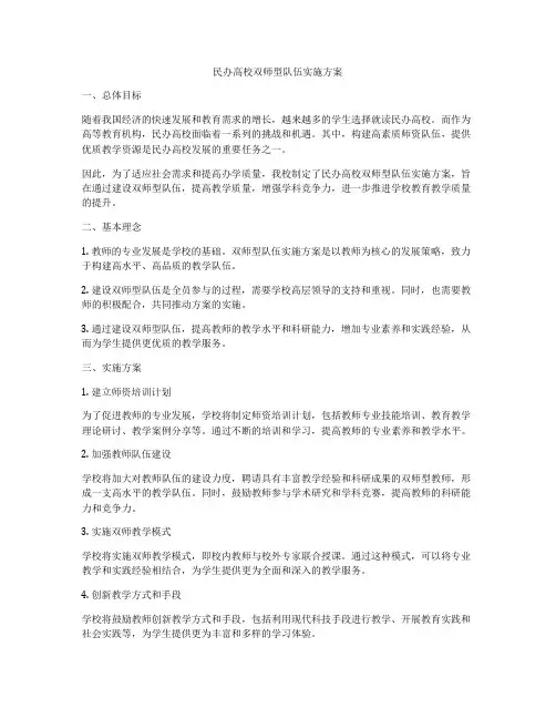 民办高校双师型队伍实施方案