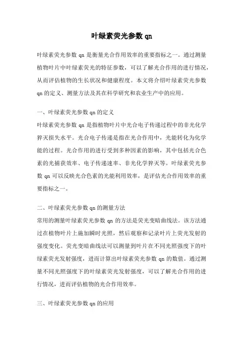 叶绿素荧光参数qn