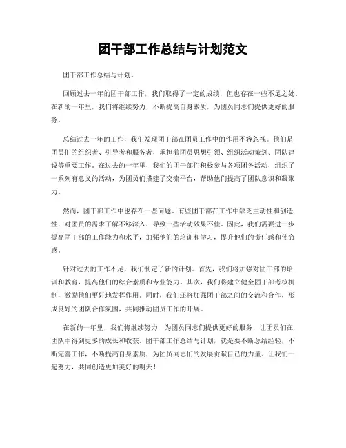 团干部工作总结与计划范文