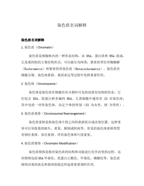 染色质名词解释