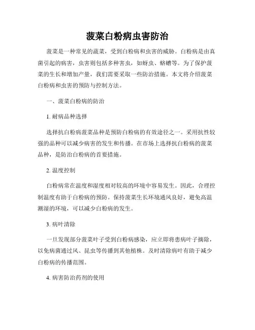 菠菜白粉病虫害防治