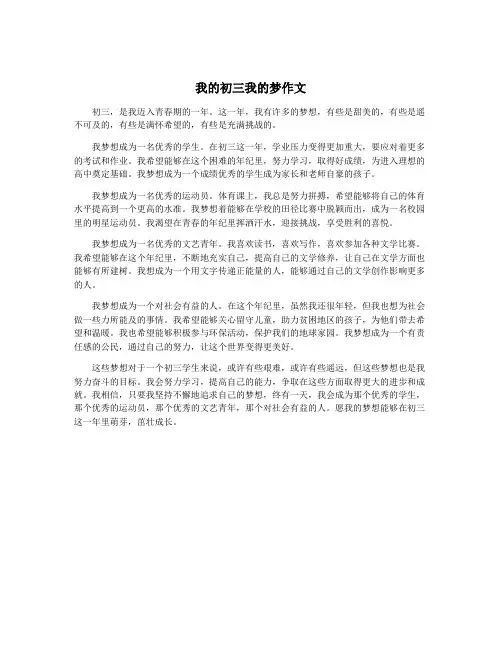我的初三我的梦作文