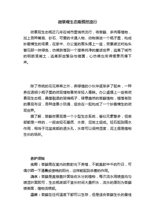 微景观生态瓶悄然流行