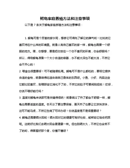 鳄龟家庭养殖方法和注意事项