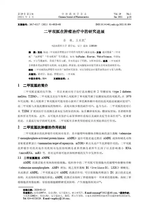 二甲双胍在肿瘤治疗中的研究进展