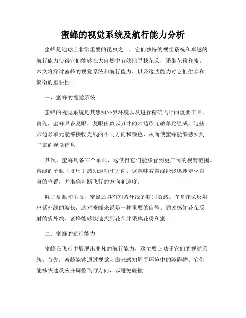 蜜蜂的视觉系统及航行能力分析