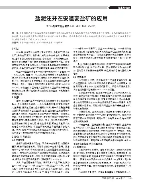 盐泥注井在安道麦盐矿的应用