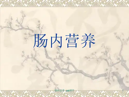 肠内营养 ppt课件