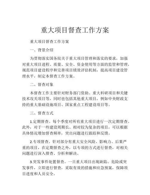 重大项目督查工作方案