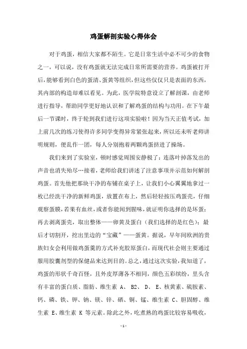 鸡蛋解剖实验心得体会