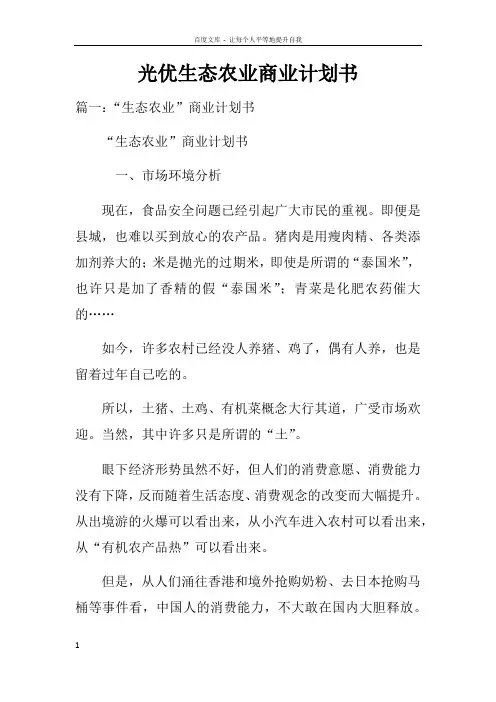 光优生态农业商业计划书doc