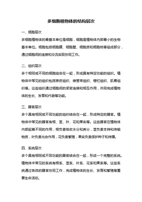 多细胞植物体的结构层次