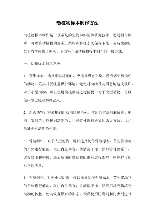 动植物标本制作方法