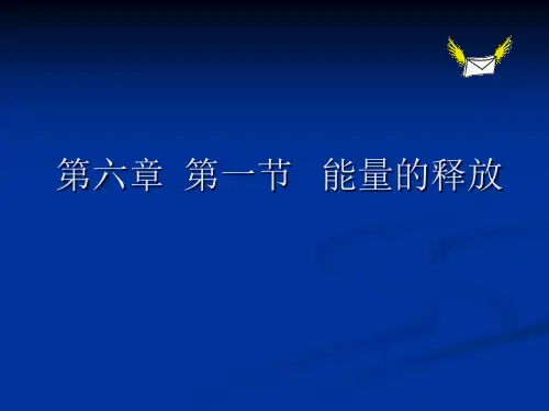 苏科版生物七上7.1《能量的释放和利用》配套教授课件(共21张PPT)