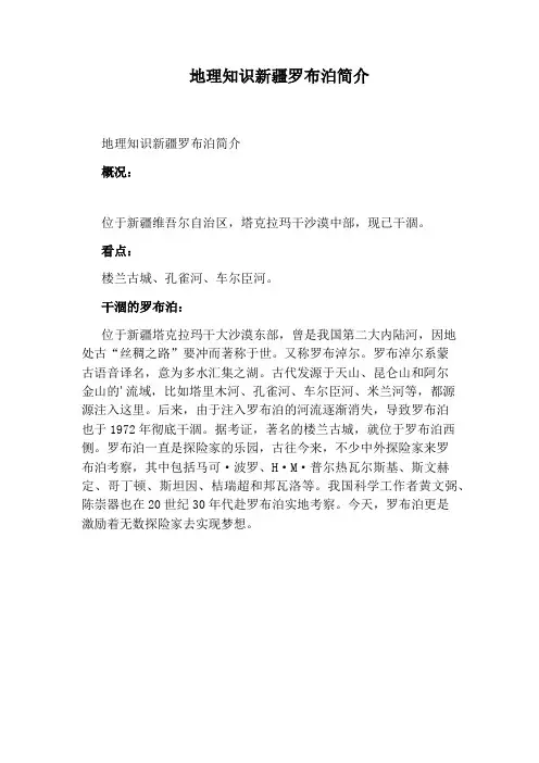 地理知识新疆罗布泊简介