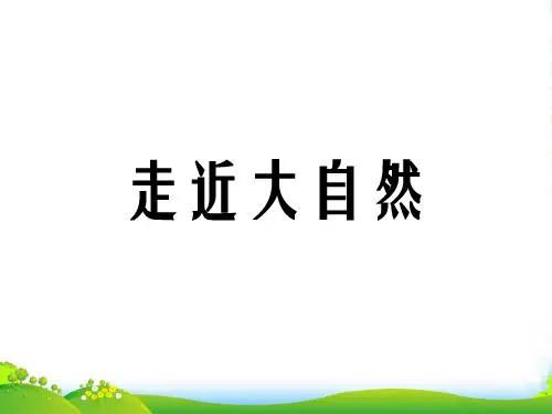 人教版一年级美术：《走近大自然》课件3