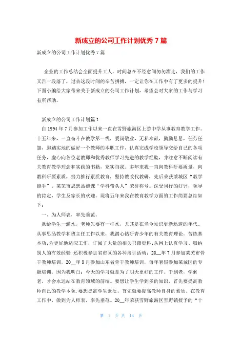 新成立的公司工作计划优秀7篇
