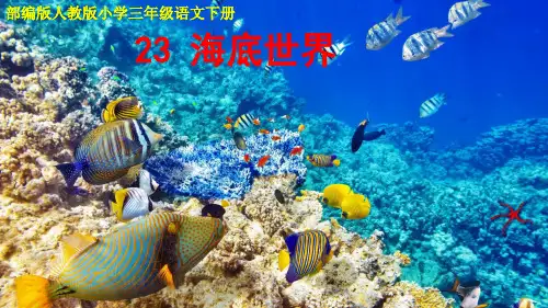 部编版人教版小学三年级语文下册《海底世界》ppt课件