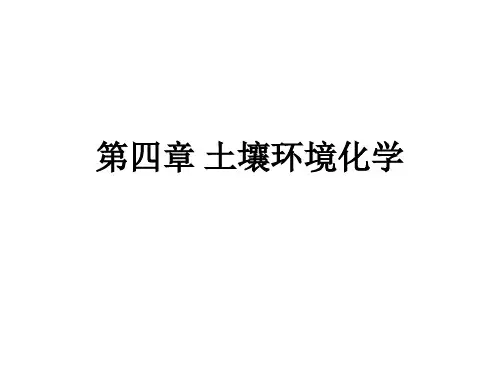 第四章 土壤环境化学