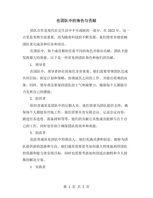 在团队中的角色与贡献