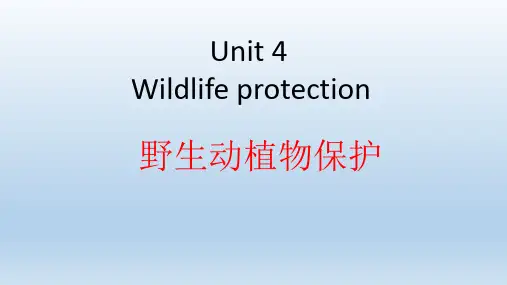 人教版高一英语必修2Unit4课文译文