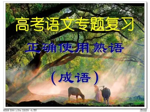 高考专题复习：正确使用词语(熟语)