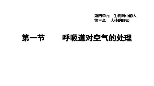 人教版七年级生物下册第四单元第三章习题课件4.3.1 呼吸道对空气的处理