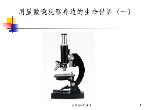 教科版六年级科学下册第一单元1.5用显微镜观察身边的生命世界ppt课件