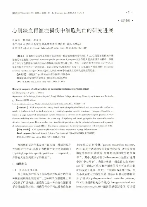 心肌缺血再灌注损伤中细胞焦亡的研究进展