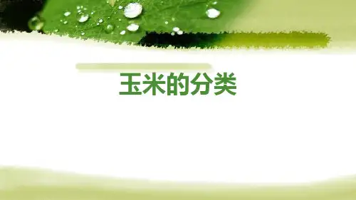 作物生产技术基础—玉米的分类