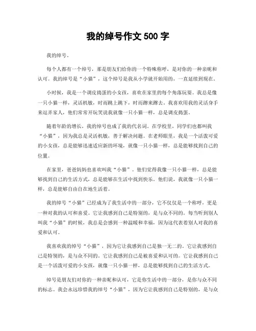 我的绰号作文500字