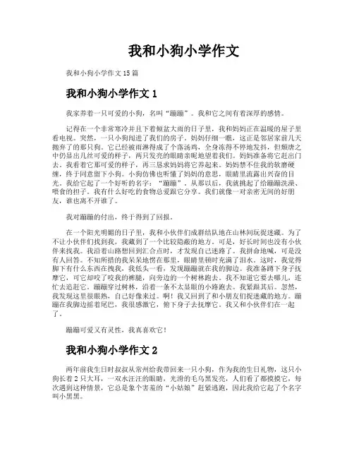 我和小狗小学作文