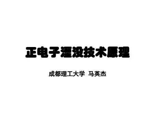 正电子湮没原理_lx-1