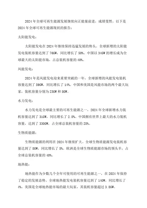 2024年全球可再生能源现状报告