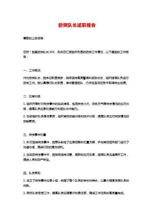 防突队长述职报告