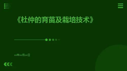 杜仲的育苗及栽培技术