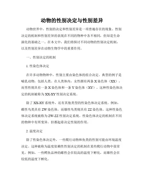 动物的性别决定与性别差异
