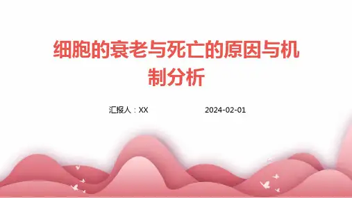 细胞的衰老与死亡的原因与机制分析
