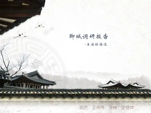 聊城古城区调研报告