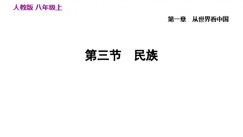 人教版八年级上册地理习题课件--1.3民族(共31张PPT)