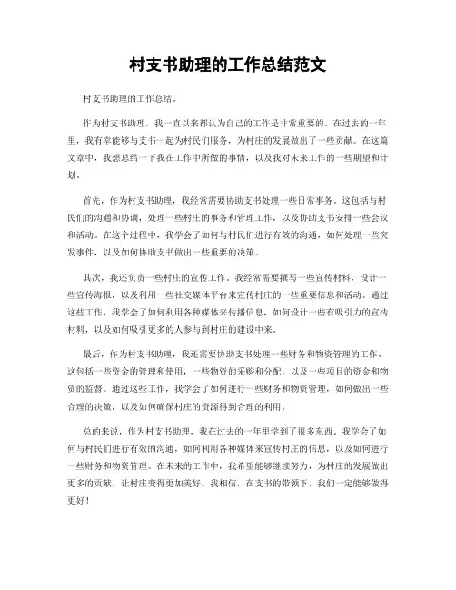 村支书助理的工作总结范文