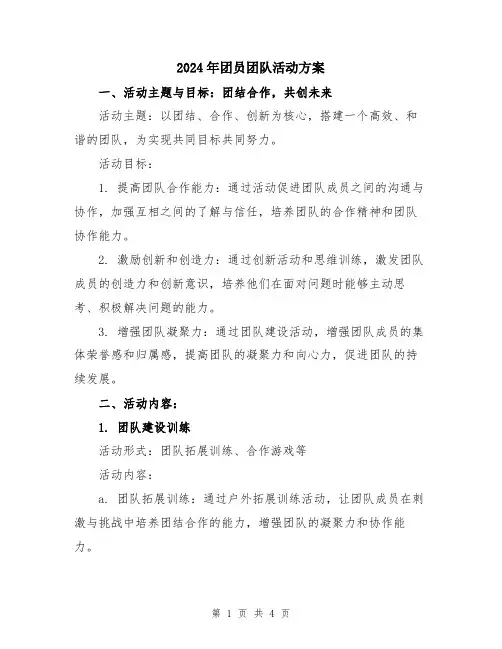 2024年团员团队活动方案