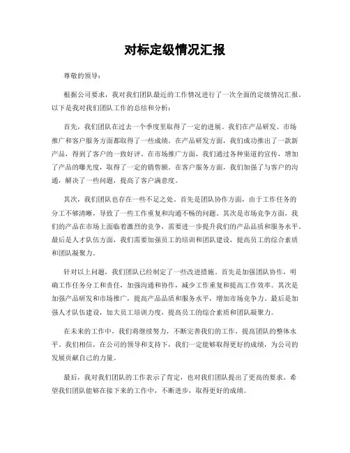 对标定级情况汇报
