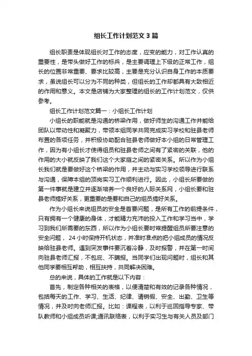 组长工作计划范文3篇