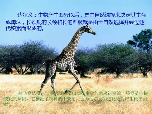 六年级下册科学课件3.3达尔文和他的“进化论”｜苏教版22(共18张PPT)