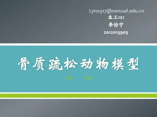 骨质疏松动物模型