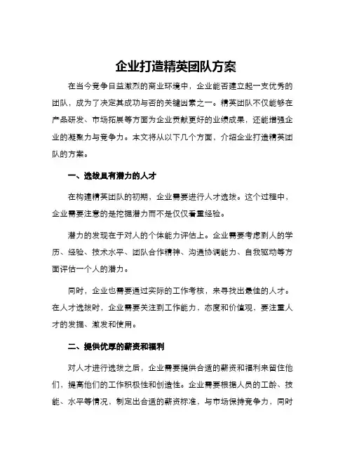 企业打造精英团队方案