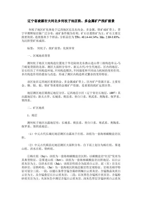 辽宁省凌源市大河北乡何杖子地区铁、多金属矿产找矿前景