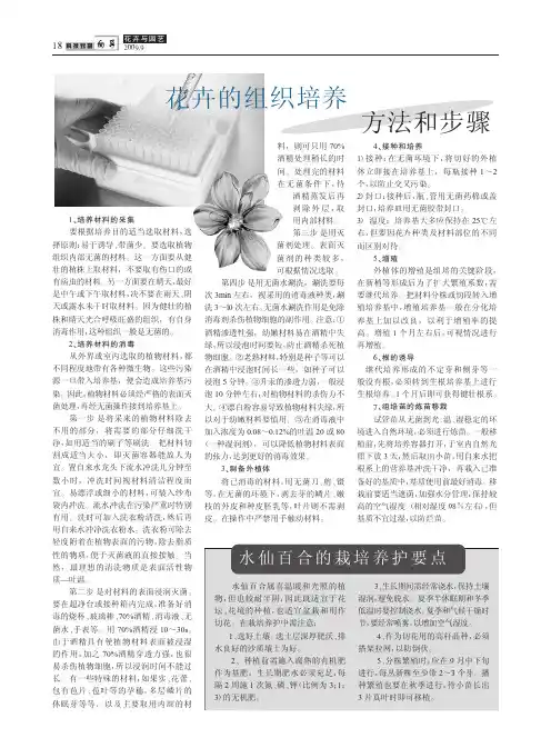 花卉的组织培养方法和步骤