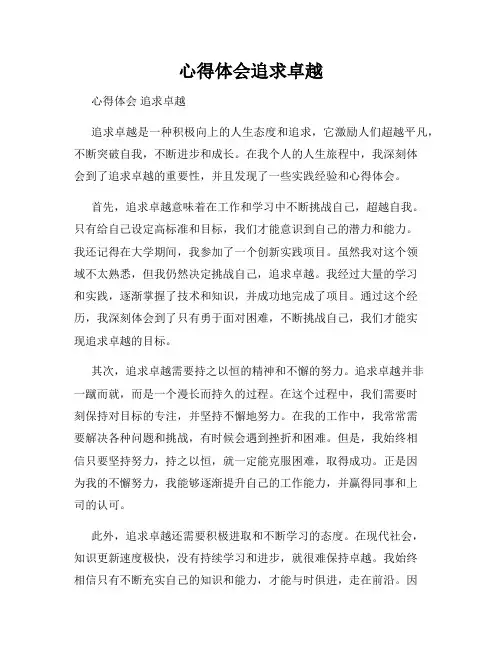 心得体会追求卓越